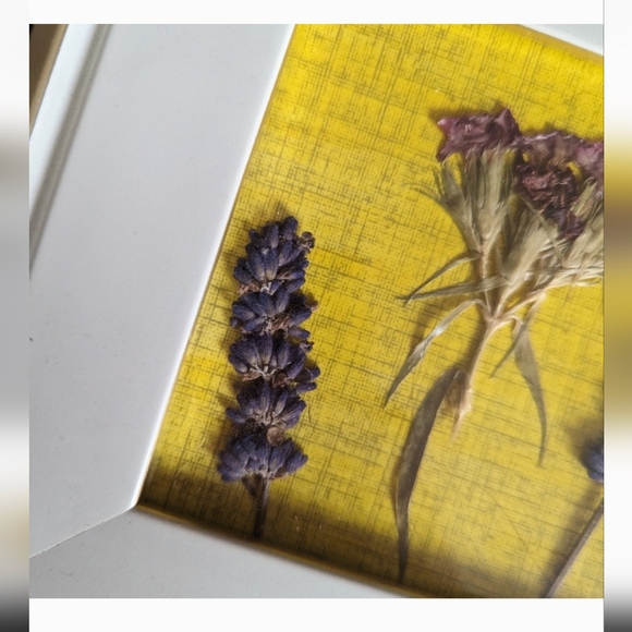 Framed Pressed Flower Art - Picture 3 of 3